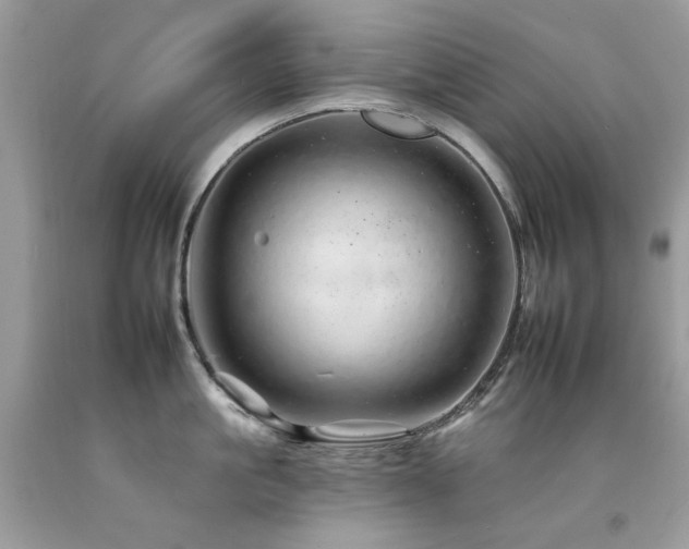 X0000092260861200709141208