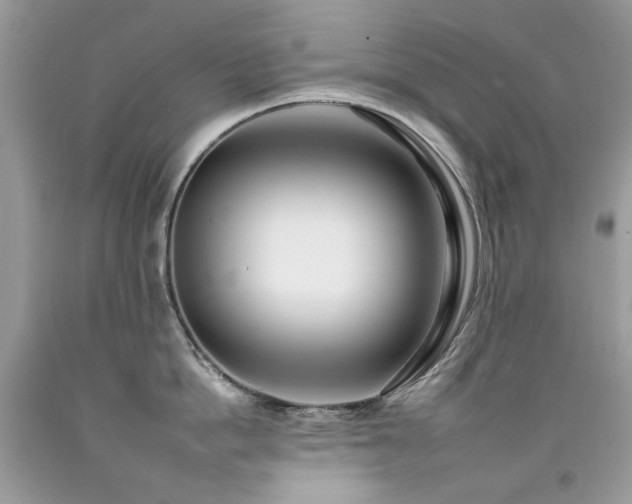 X0000092260862200709141208