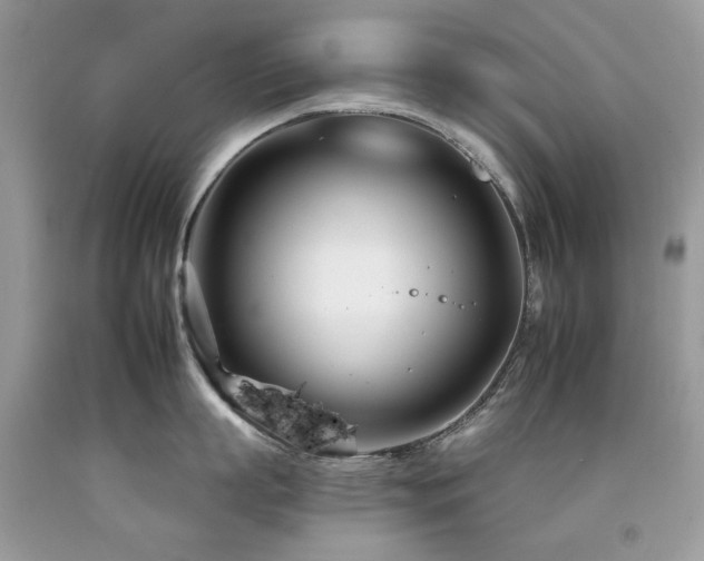 X0000092260863200709141208