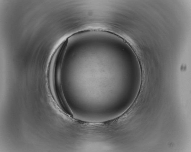 X0000092260864200709141208
