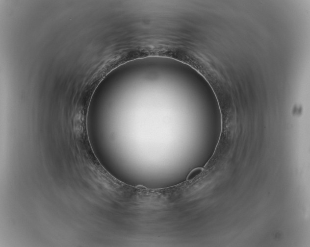 X0000092260866200709141207