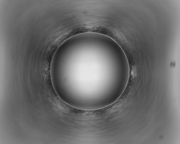 X0000092260867200709141207
