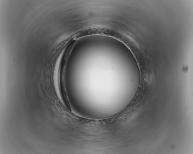 X0000092260869200709141207