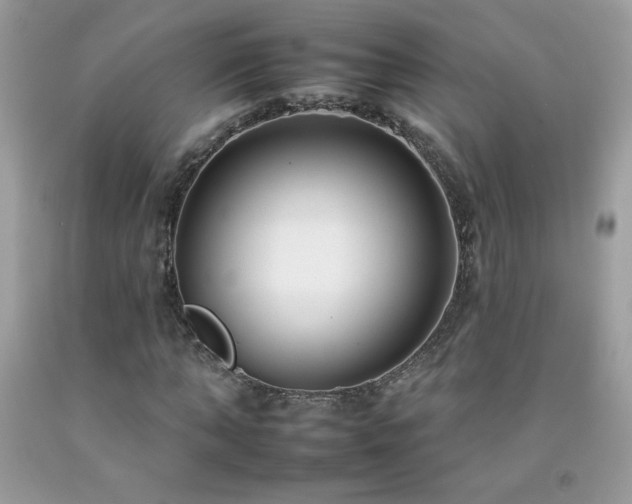 X0000092260870200709141207