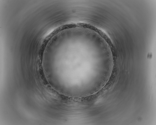 X0000092260871200709141207