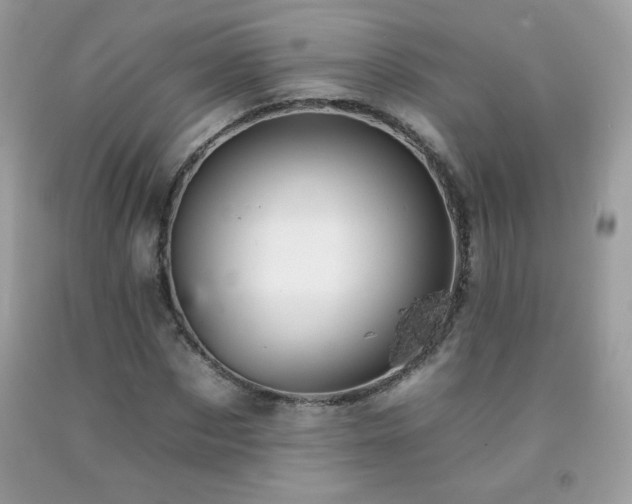 X0000092260873200709141207
