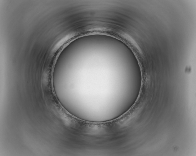 X0000092260874200709141207