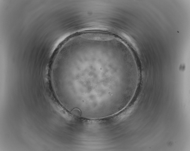 X0000092260875200709141207