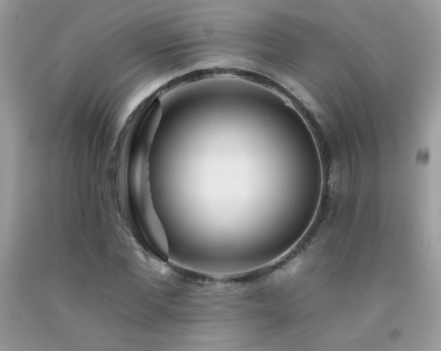 X0000092260877200709141207