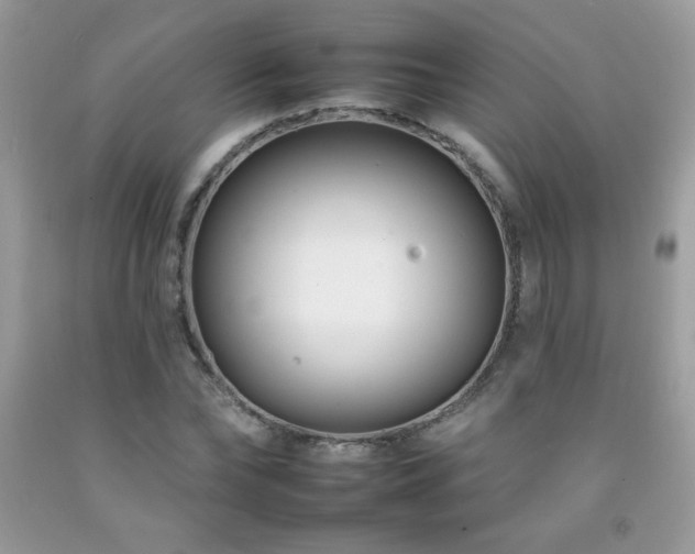 X0000092260878200709141207