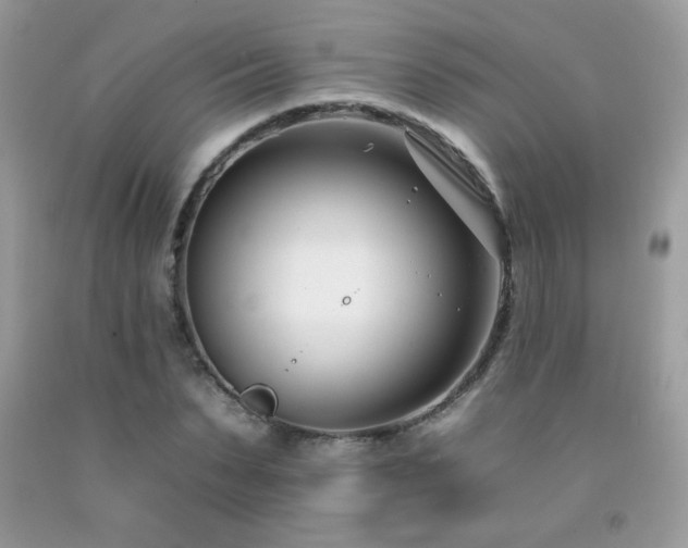 X0000092260879200709141207