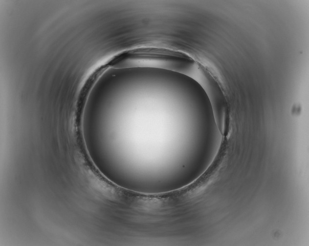 X0000092260880200709141207