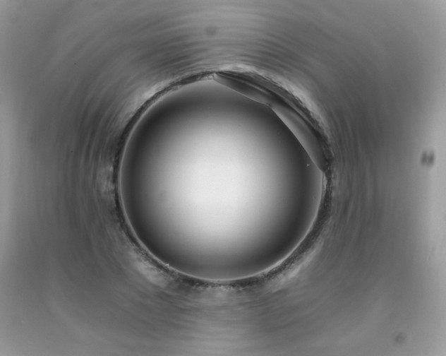 X0000092260881200709141207