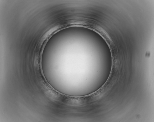 X0000092260882200709141207