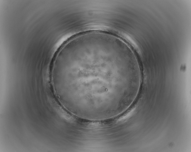 X0000092260883200709141207