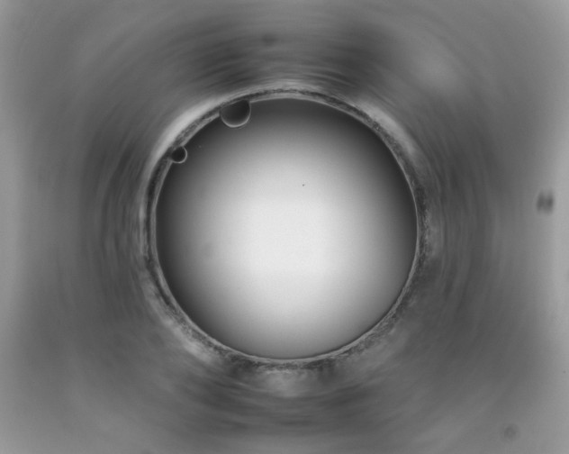 X0000092260886200709141207