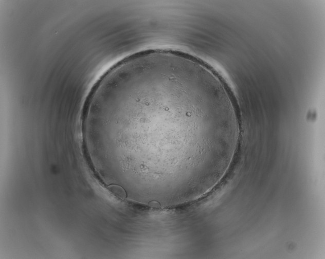 X0000092260887200709141207