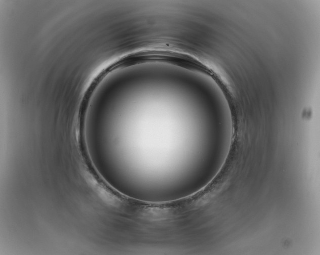 X0000092260888200709141207