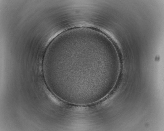 X0000092260889200709141207