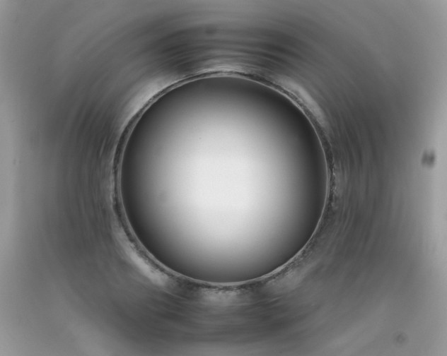 X0000092260890200709141207