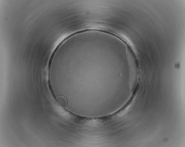 X0000092260891200709141207