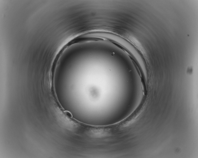 X0000092260892200709141207