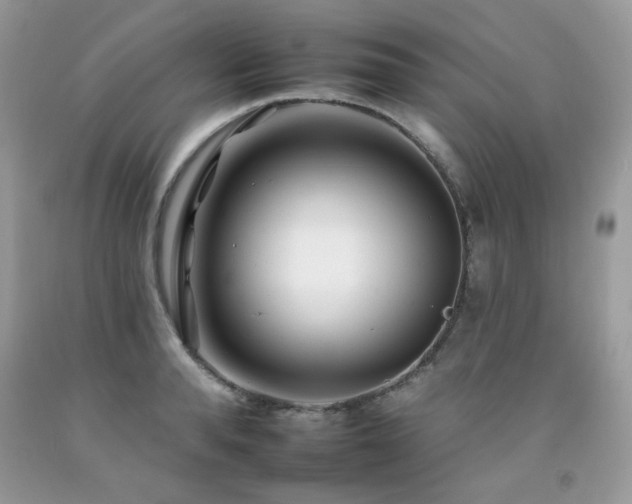 X0000092260896200709141207