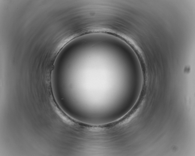 X0000092260897200709141207