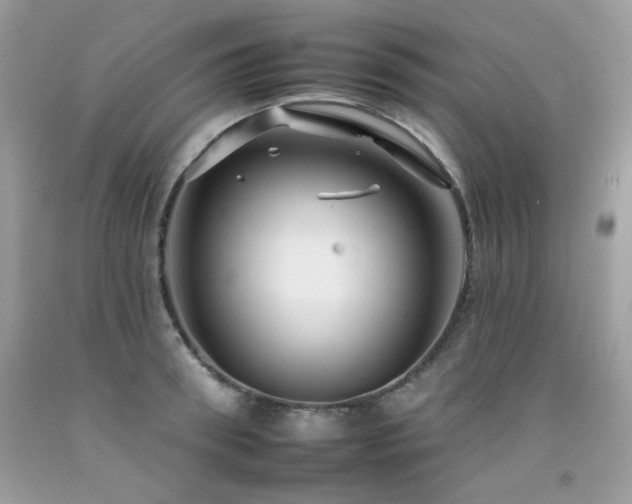 X0000092260898200709141207
