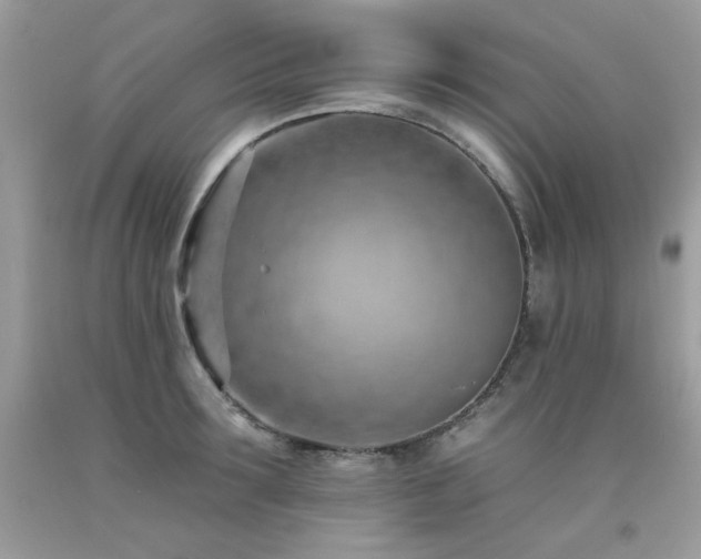 X0000092260899200709141207
