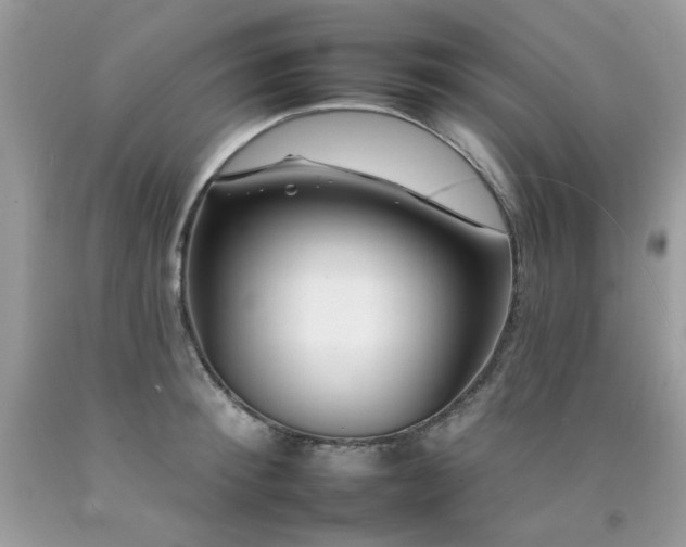 X0000092260900200709141207