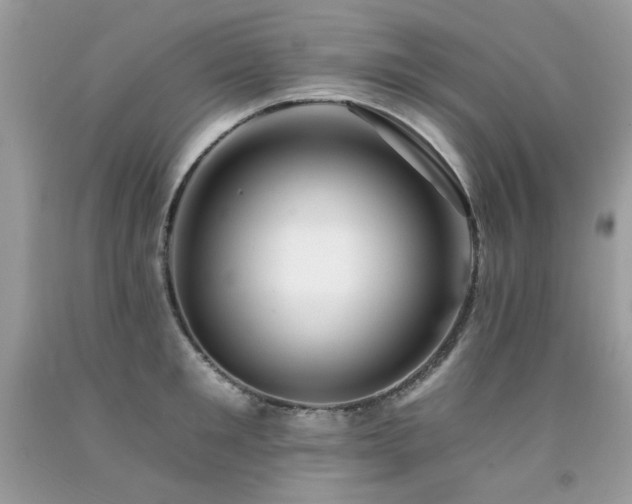 X0000092260901200709141207