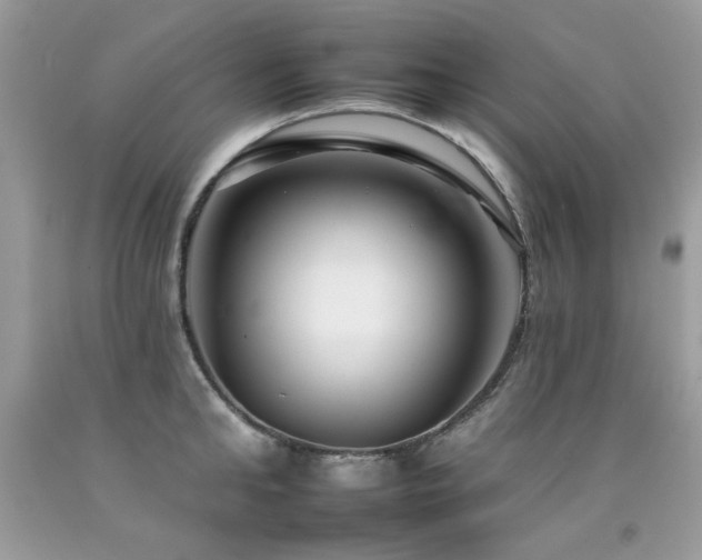 X0000092260902200709141207