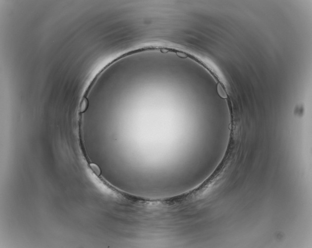 X0000092260903200709141207