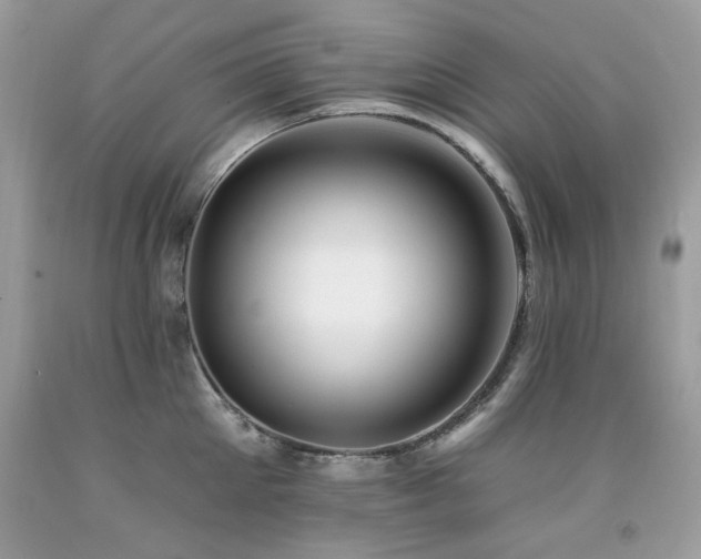 X0000092260905200709141207
