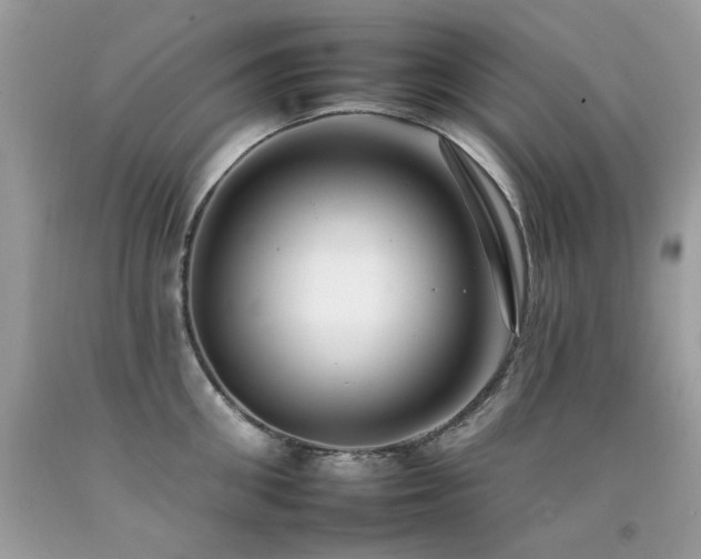 X0000092260906200709141207