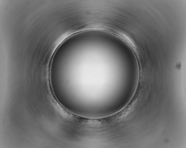 X0000092260907200709141207
