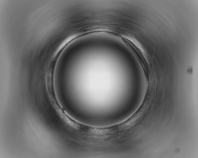 X0000092260910200709141206