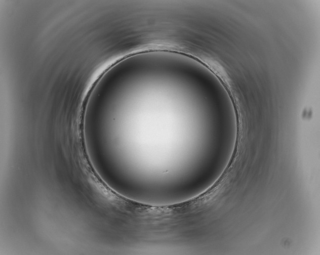 X0000092260912200709141206