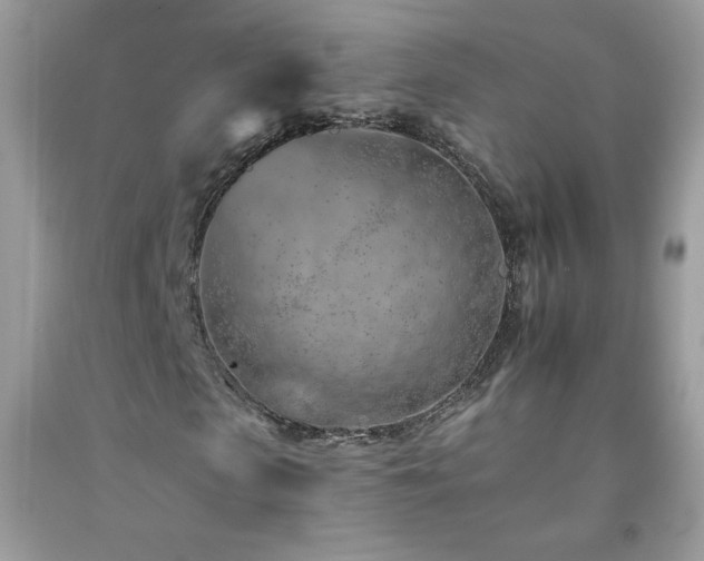X0000092260913200709141206