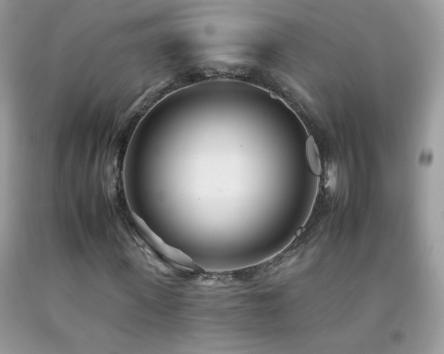 X0000092260915200709141206