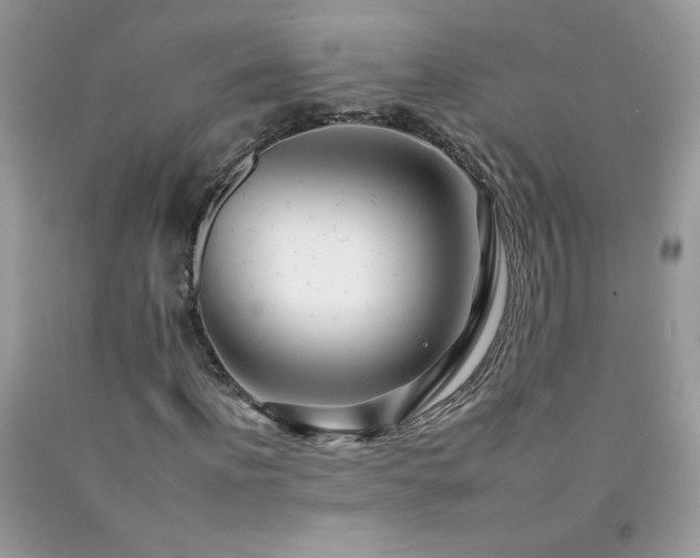 X0000092260916200709141206