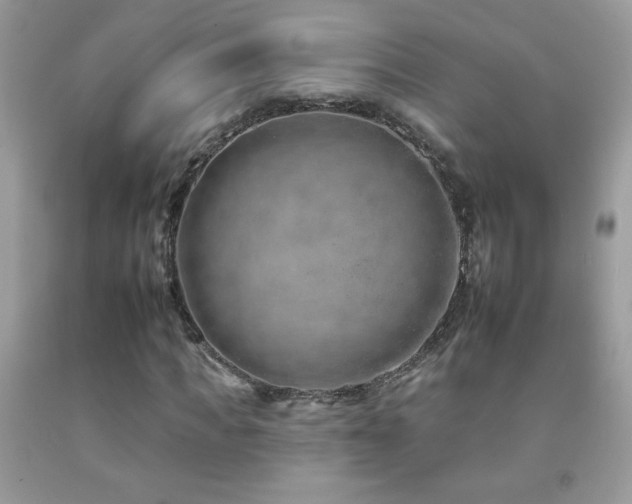 X0000092260917200709141206