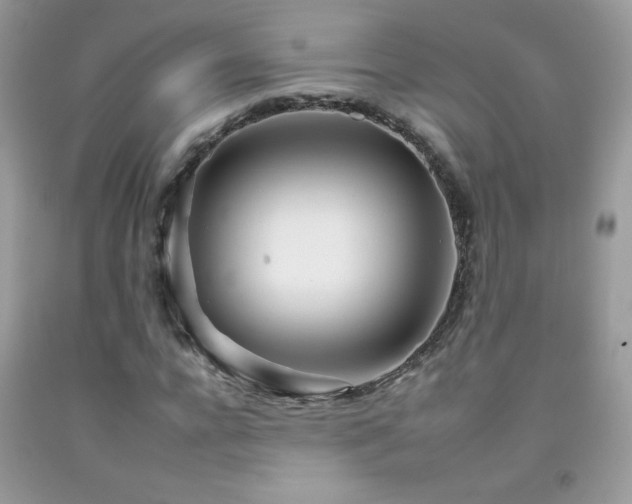 X0000092260920200709141206