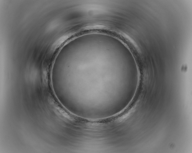 X0000092260921200709141206