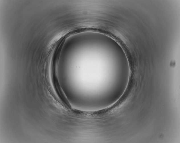 X0000092260922200709141206