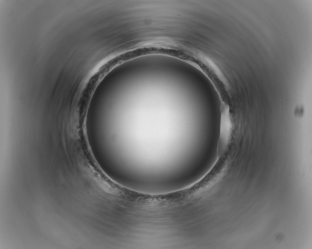 X0000092260923200709141206