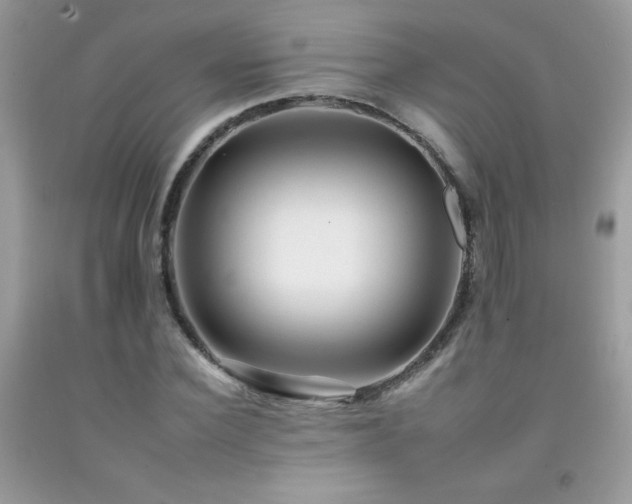 X0000092260924200709141206