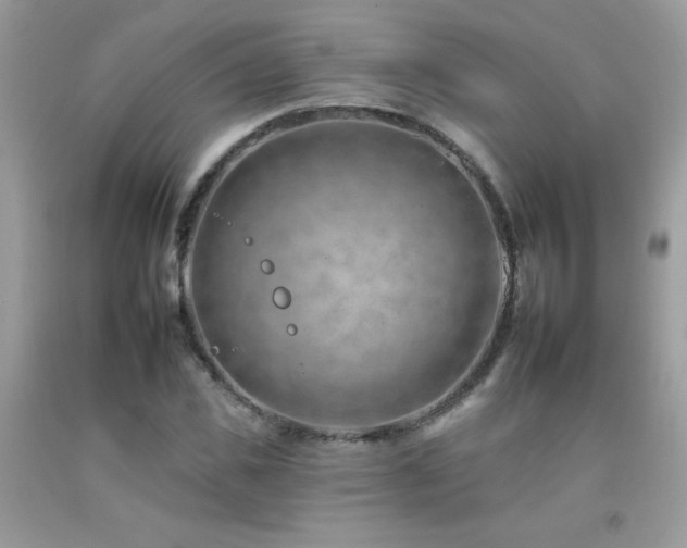 X0000092260925200709141206