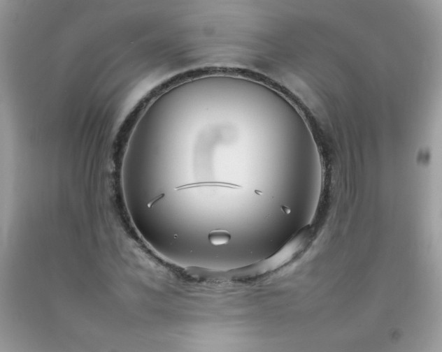 X0000092260926200709141206